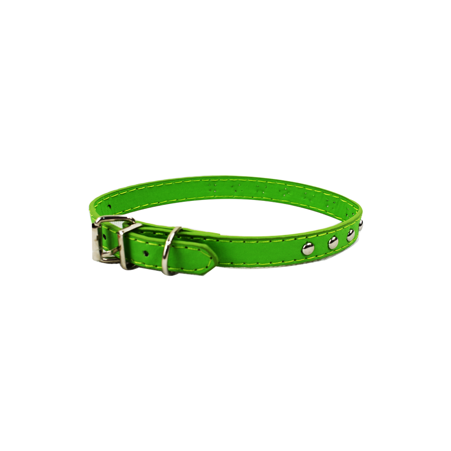Collar para perro, color azul.